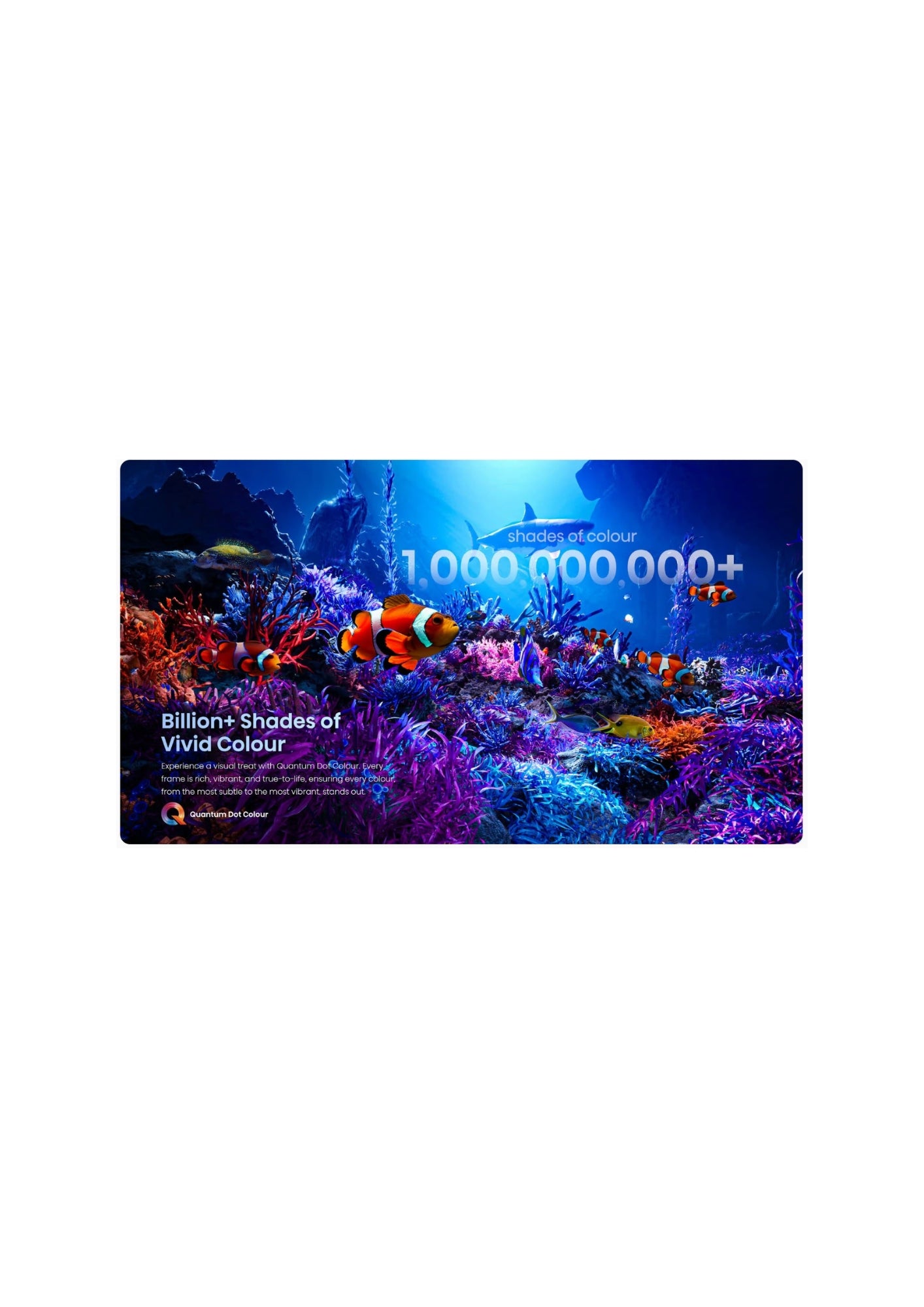 Hisense 55" Pro QLED 144hz VIDAA Gaming TV ELED55E7NPRO